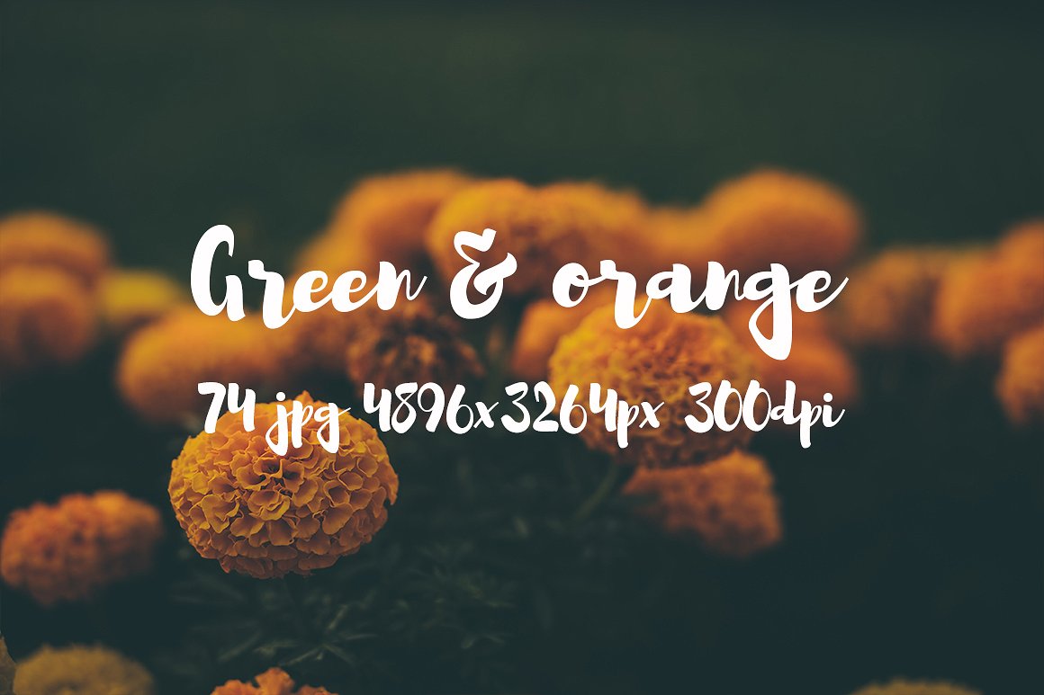 Green and orange photo bundle