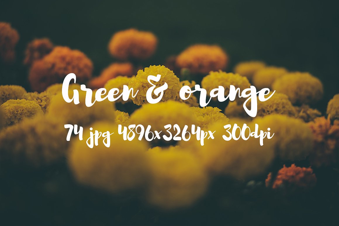 Green and orange photo bundle