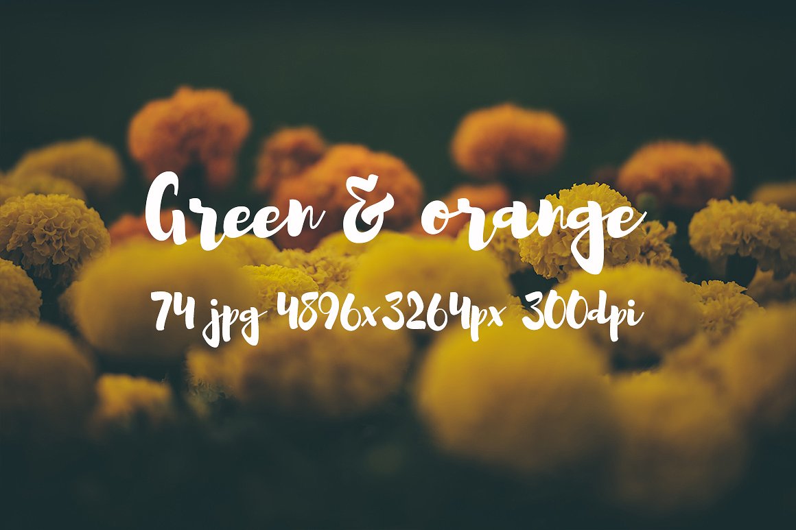 Green and orange photo bundle