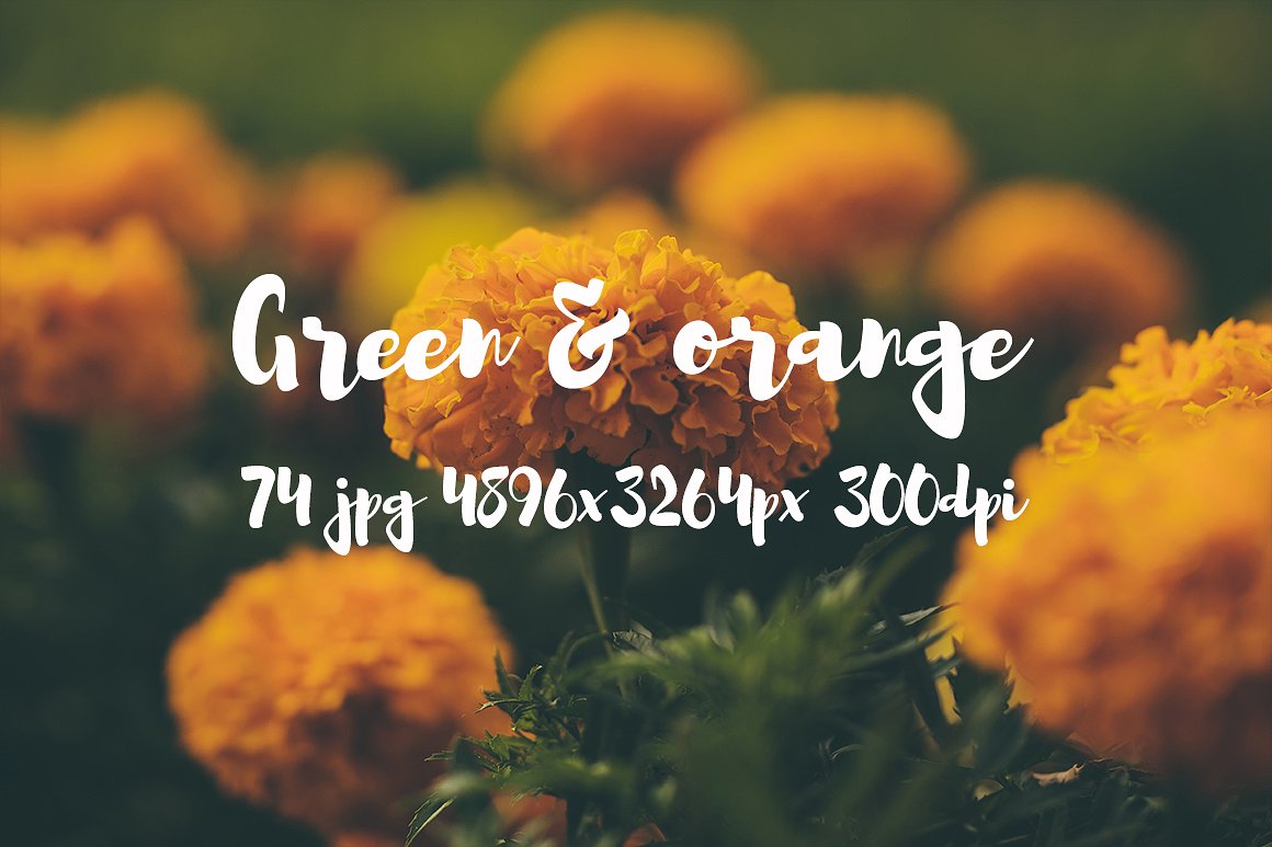 Green and orange photo bundle