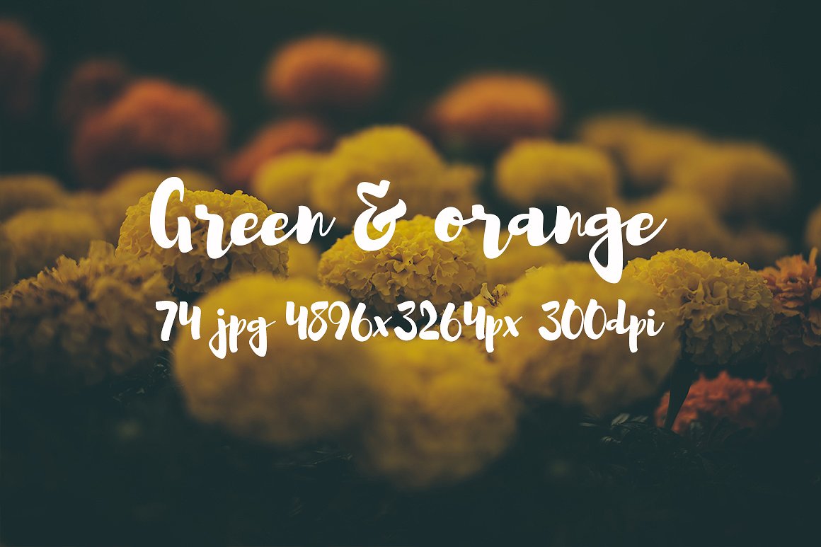 Green and orange photo bundle