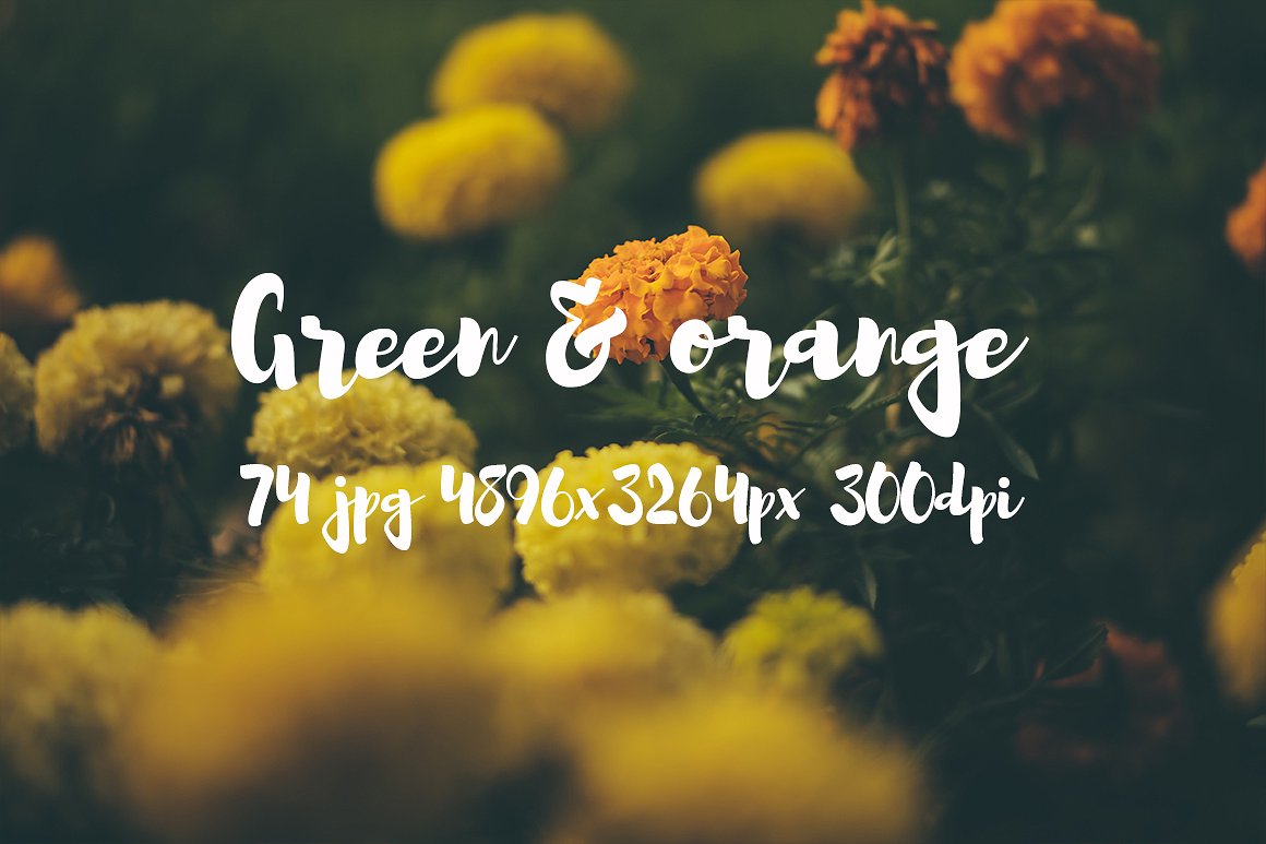 Green and orange photo bundle