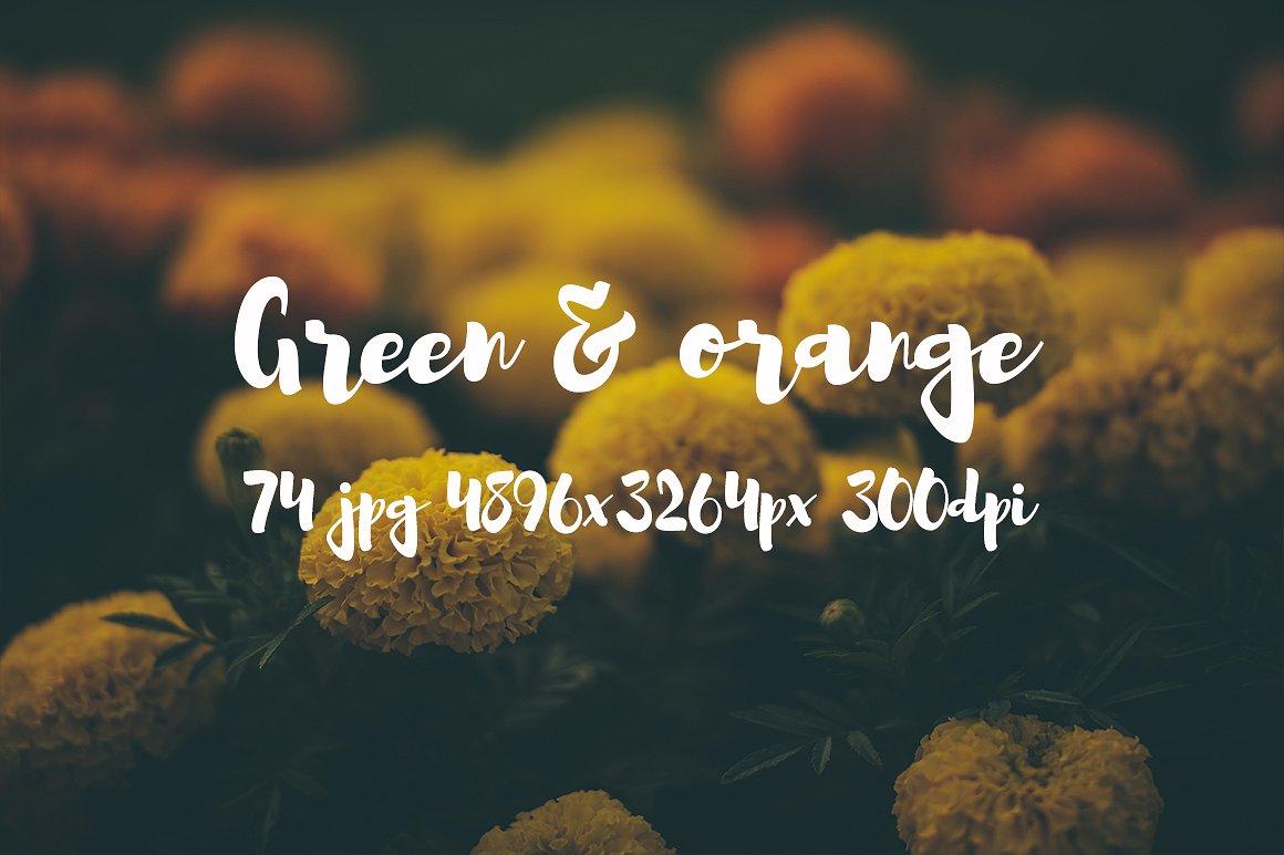 Green and orange photo bundle