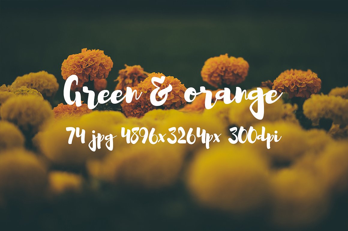 Green and orange photo bundle