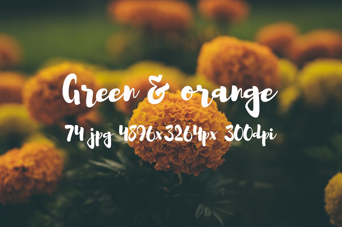 Green and orange photo bundle