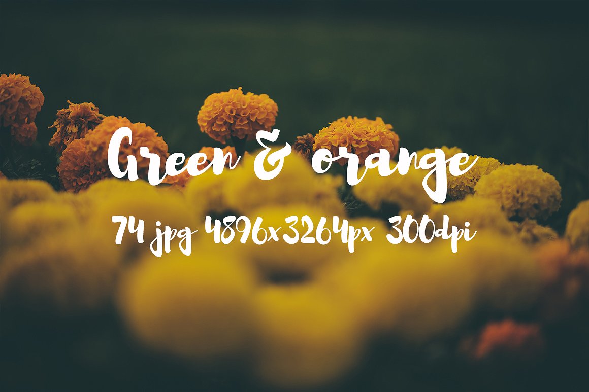 Green and orange photo bundle