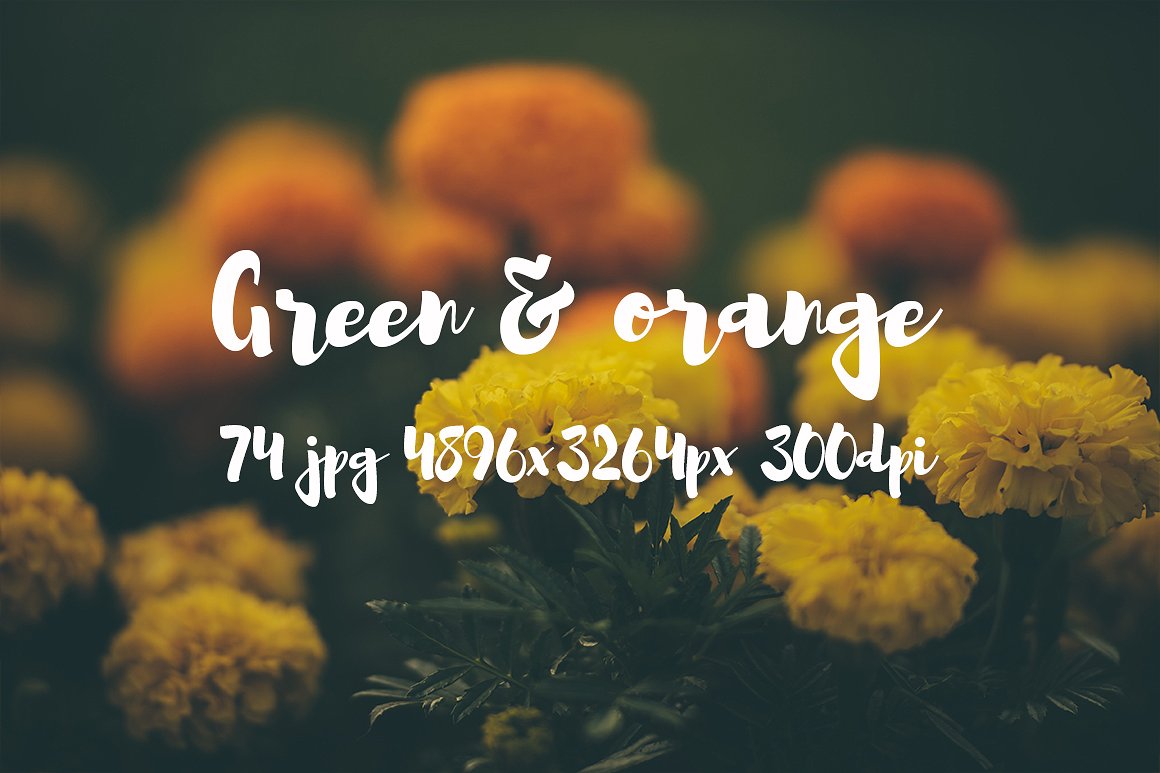 Green and orange photo bundle