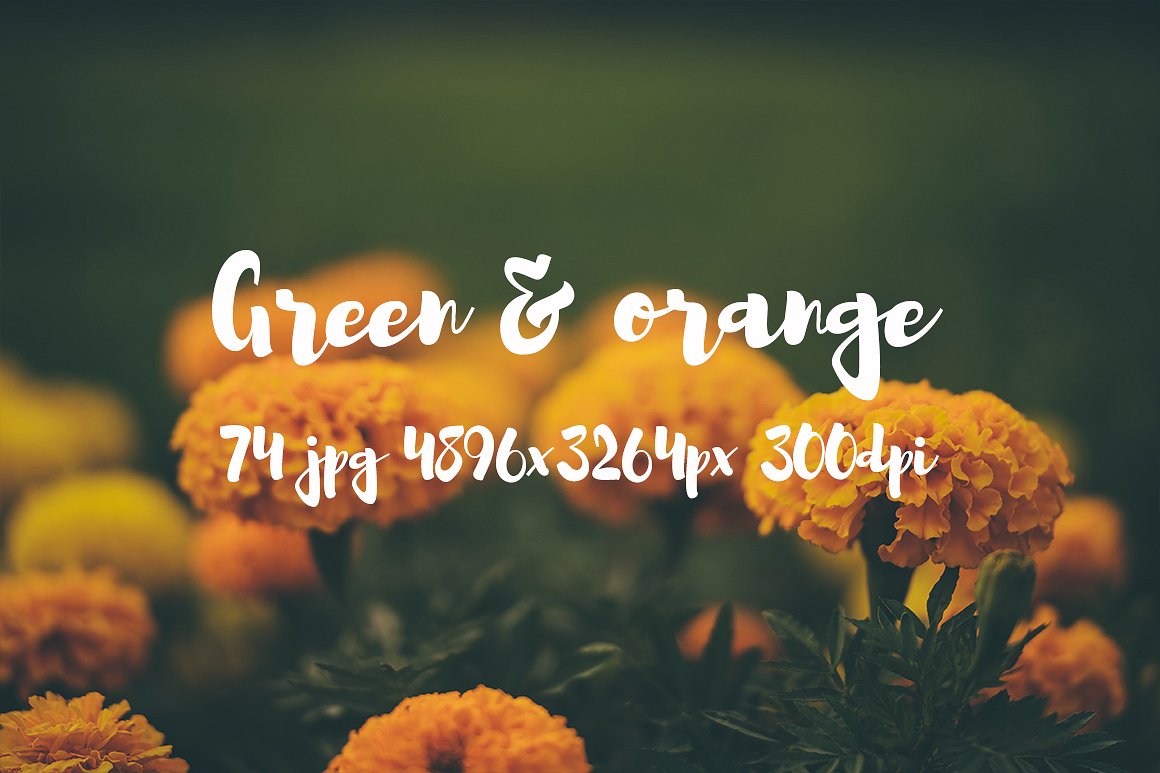 Green and orange photo bundle