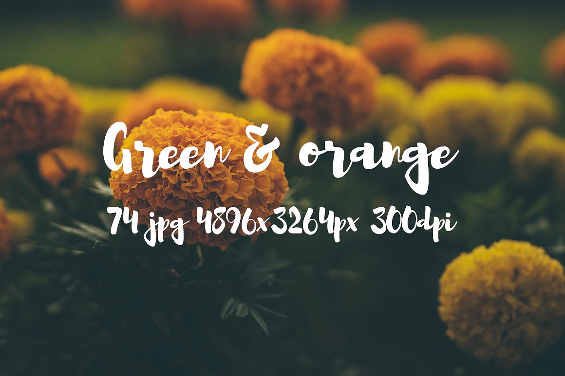 Green and orange photo bundle