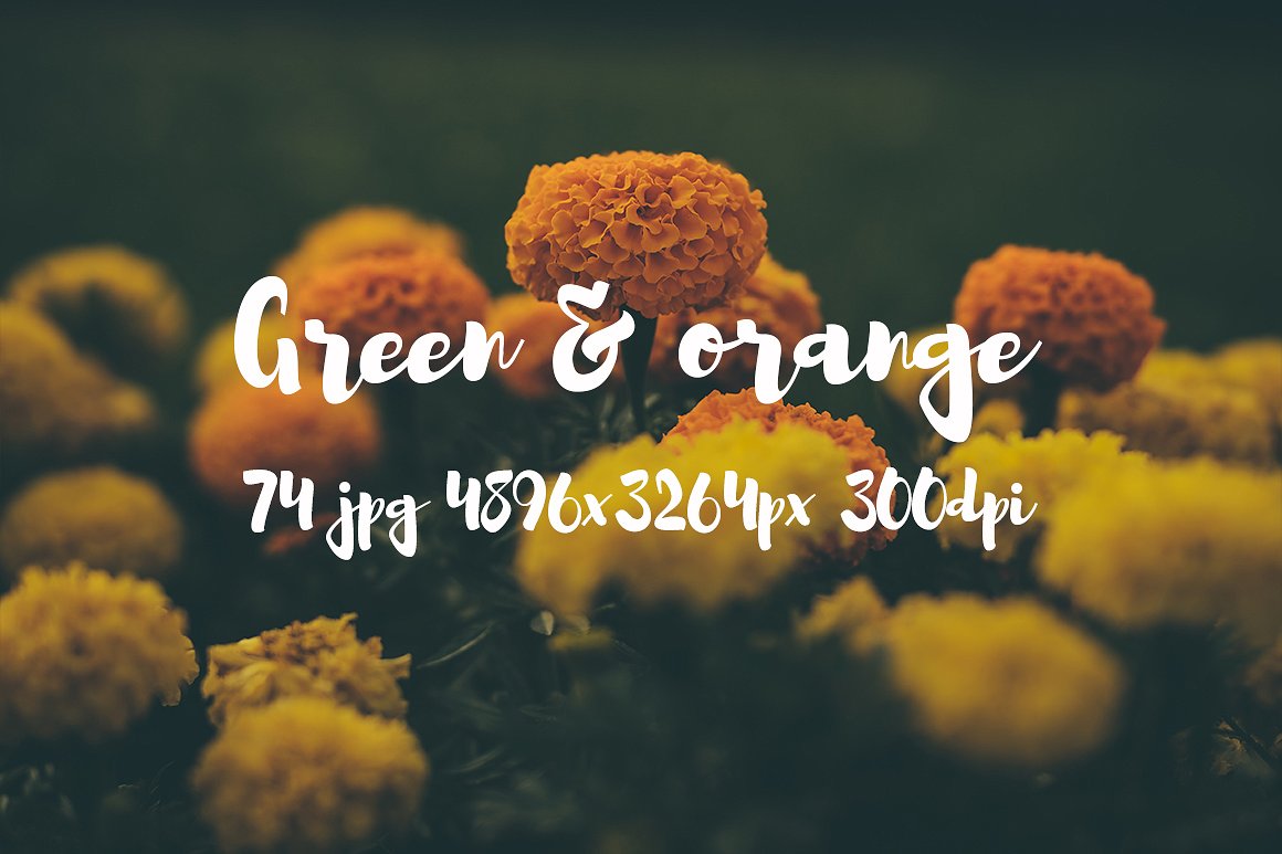 Green and orange photo bundle