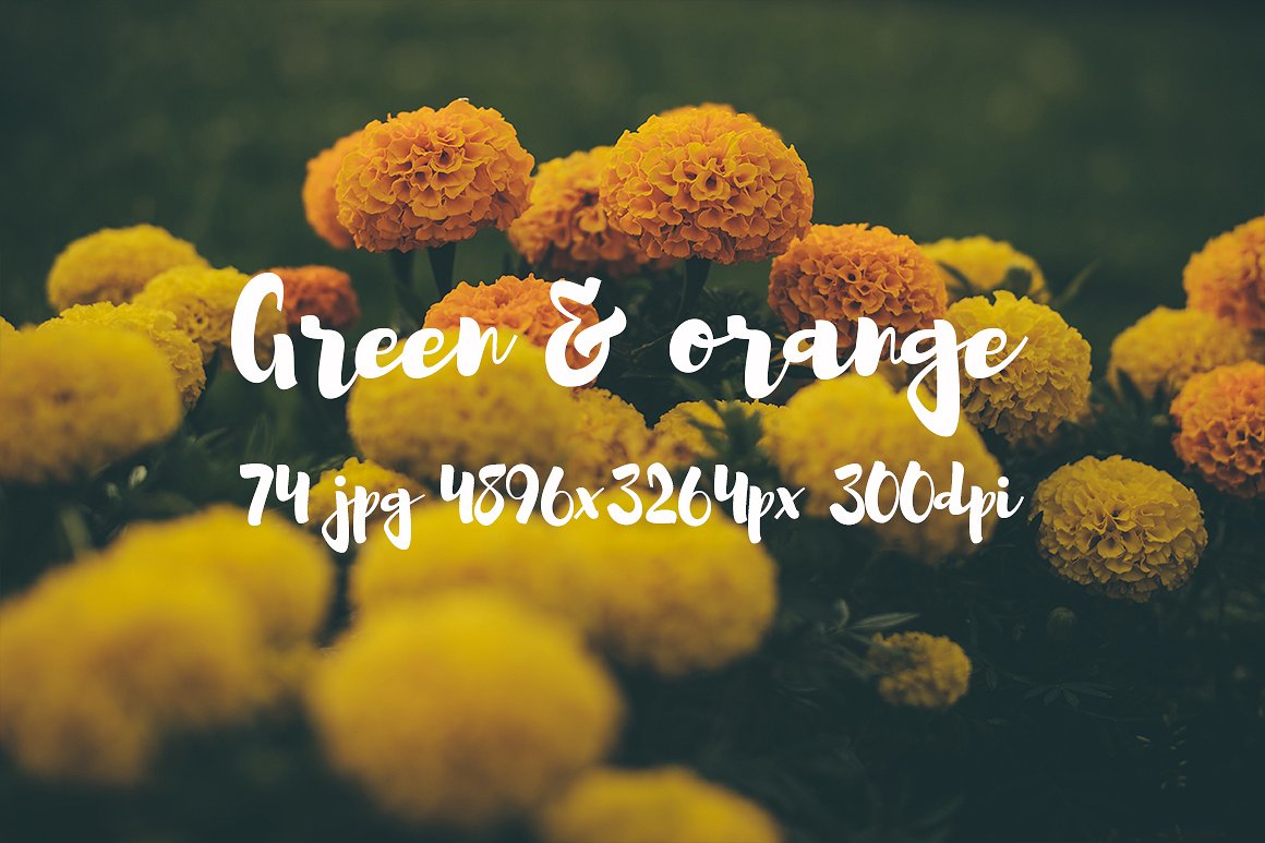 Green and orange photo bundle