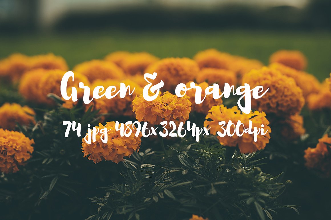 Green and orange photo bundle