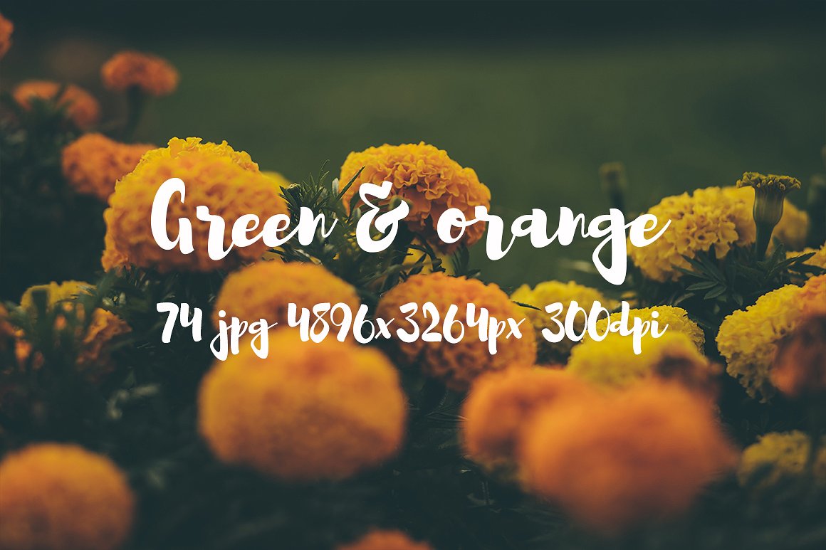 Green and orange photo bundle