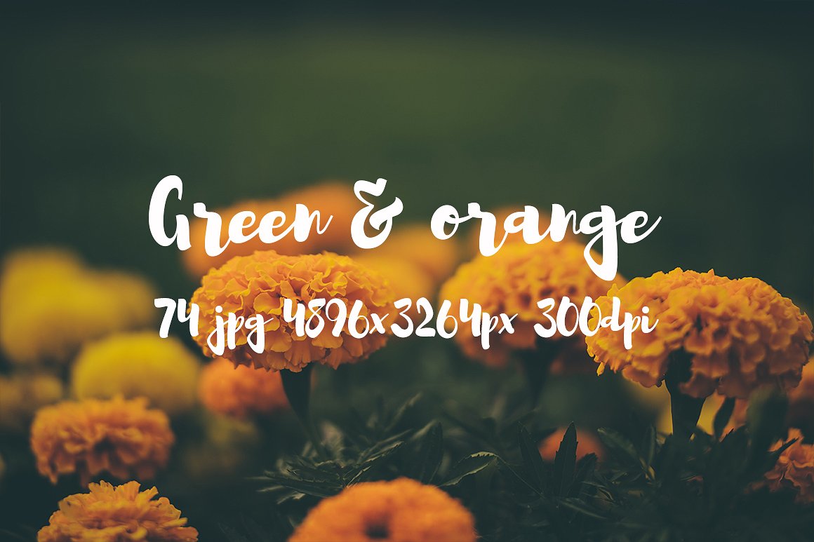 Green and orange photo bundle