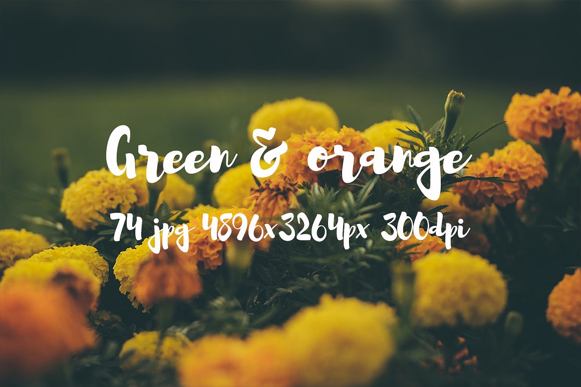 Green and orange photo bundle