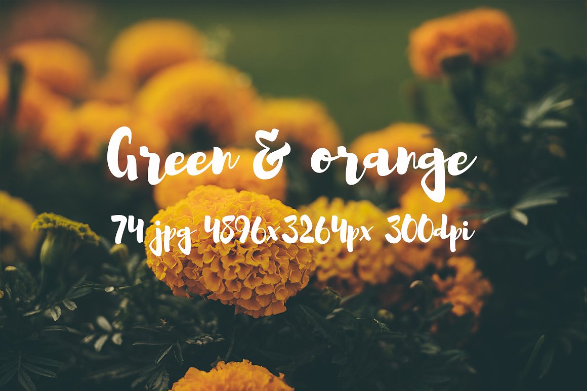 Green and orange photo bundle