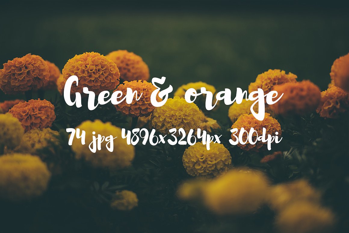 Green and orange photo bundle