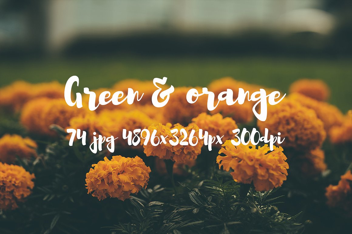 Green and orange photo bundle