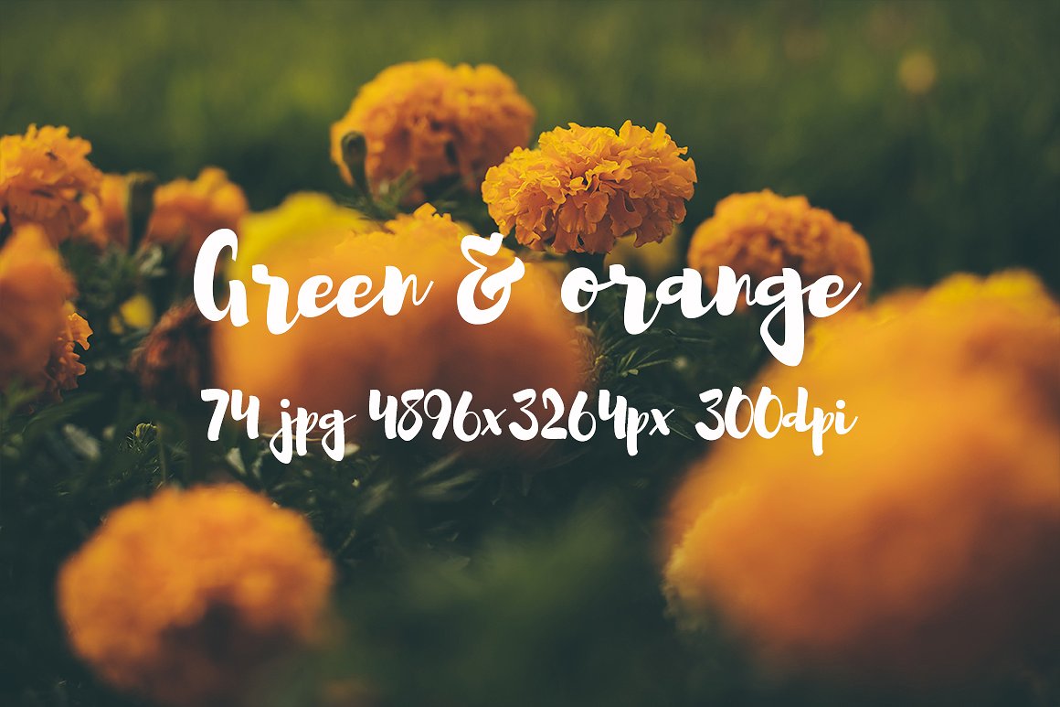 Green and orange photo bundle