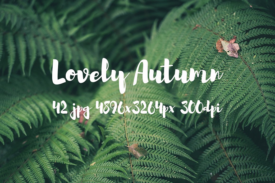 Lovely autumn photo bundle