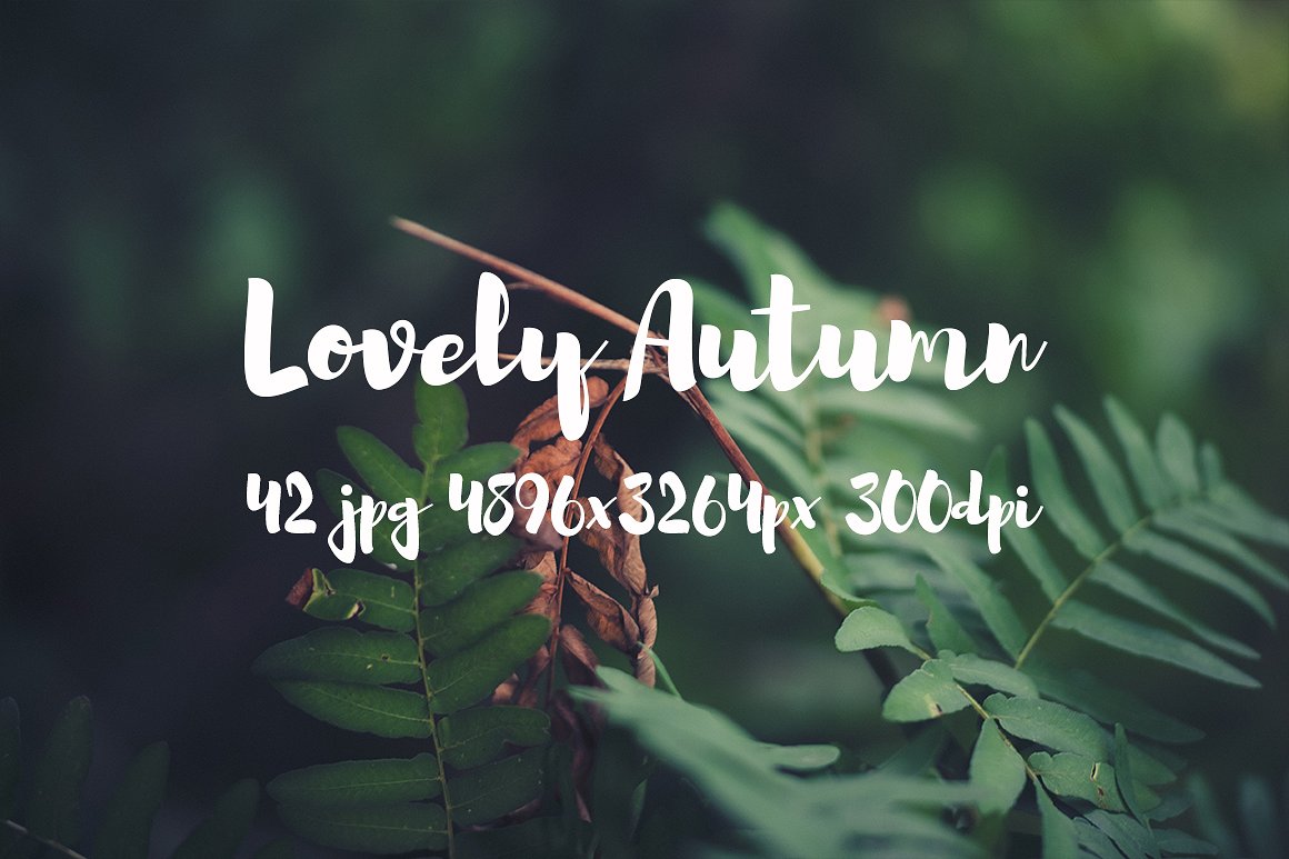 Lovely autumn photo bundle