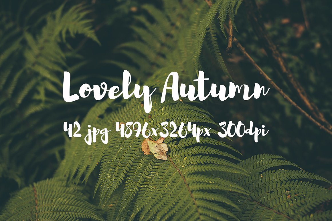 Lovely autumn photo bundle