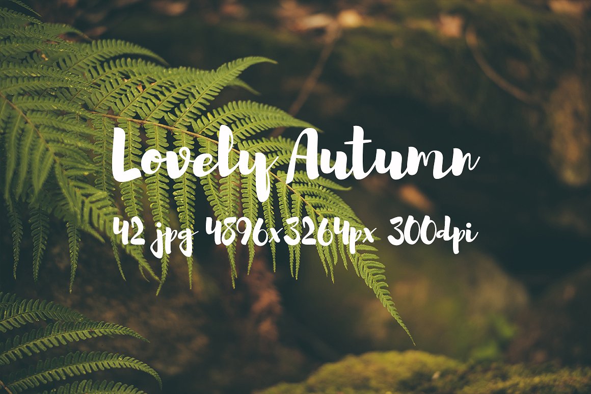 Lovely autumn photo bundle