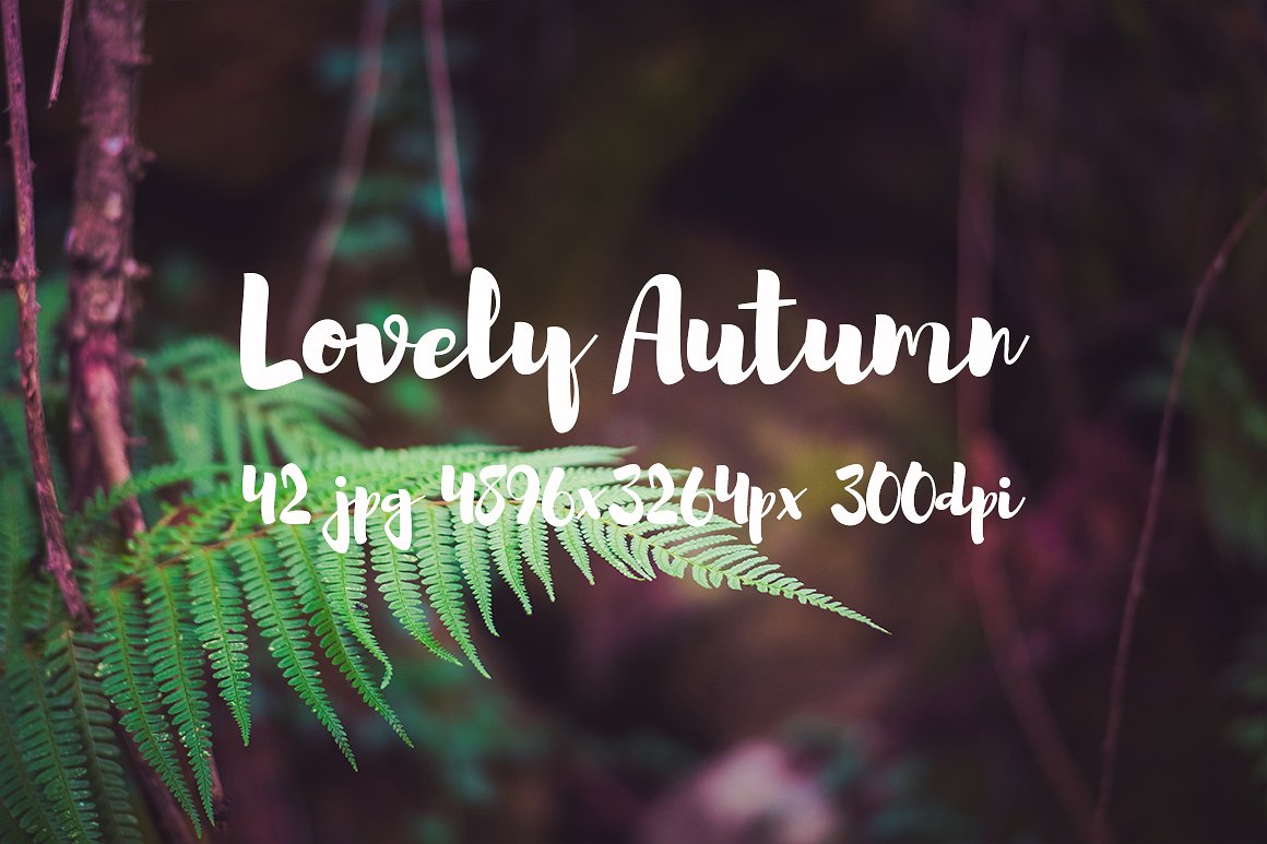 Lovely autumn photo bundle