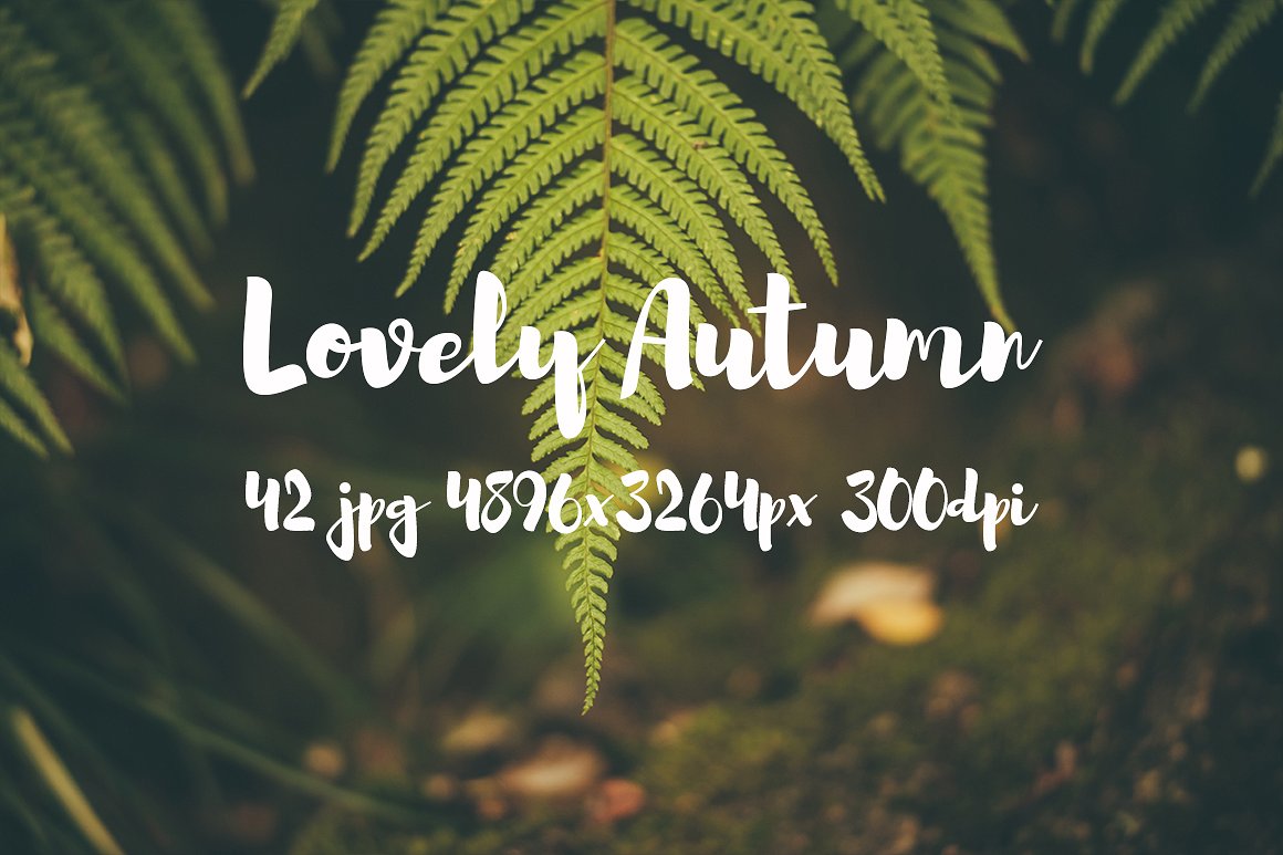 Lovely autumn photo bundle