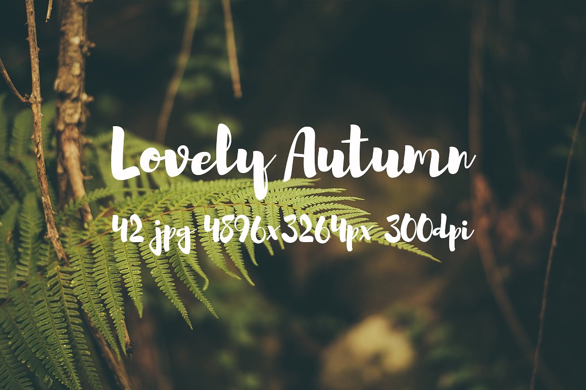 Lovely autumn photo bundle