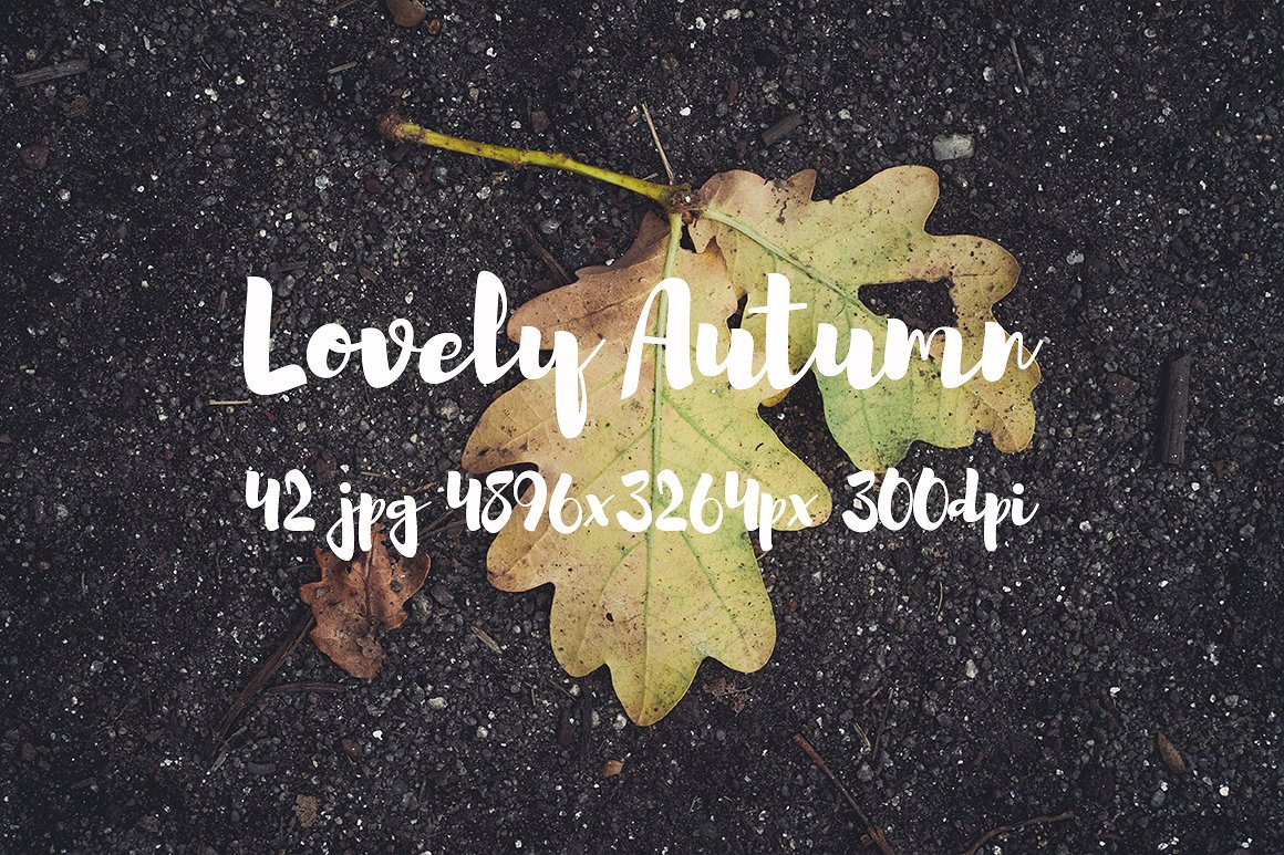 Lovely autumn photo bundle