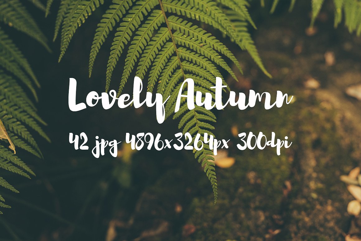 Lovely autumn photo bundle