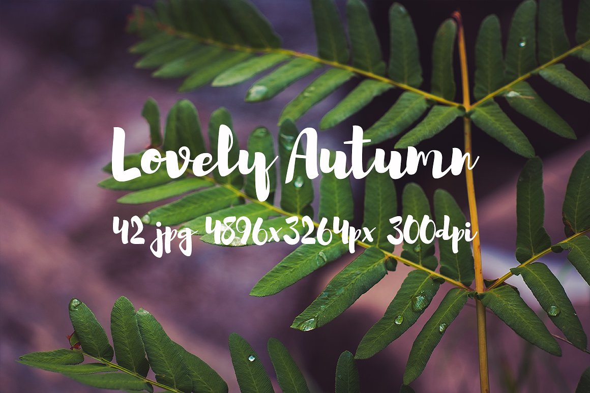 Lovely autumn photo bundle