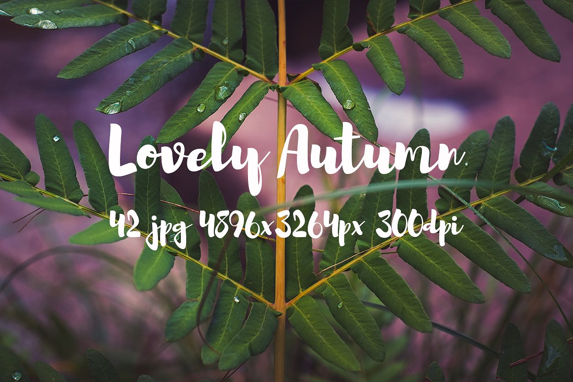 Lovely autumn photo bundle