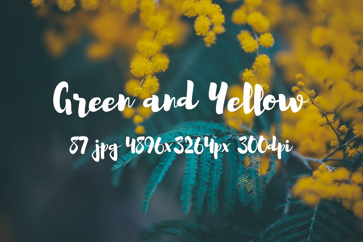 Green and yellow photo pack