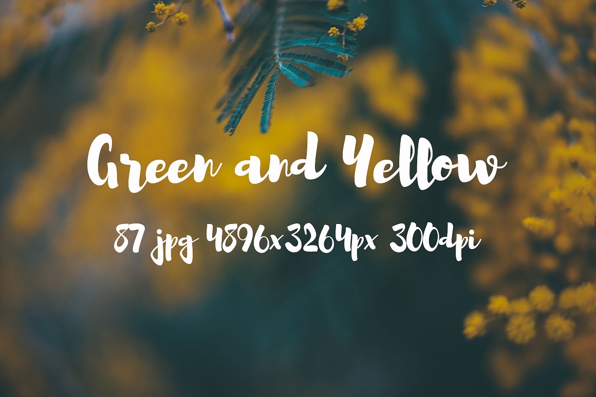 Green and yellow photo pack