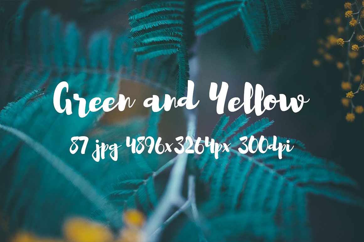 Green and yellow photo pack