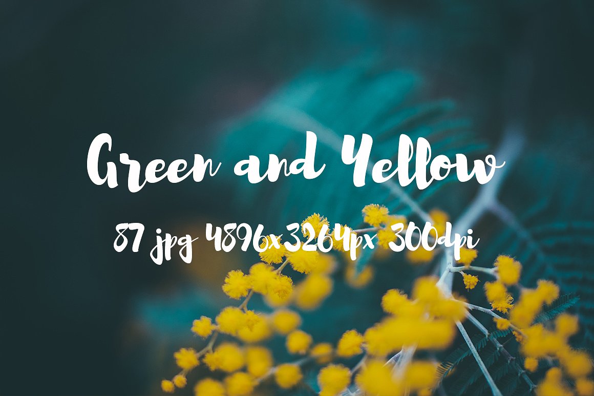 Green and yellow photo pack