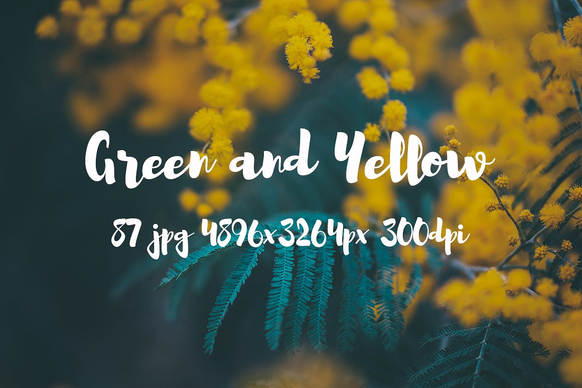 Green and yellow photo pack