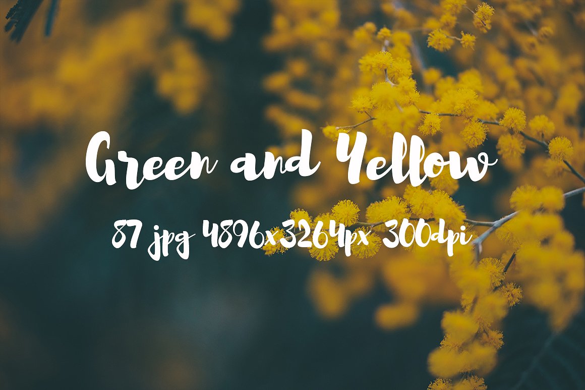 Green and yellow photo pack