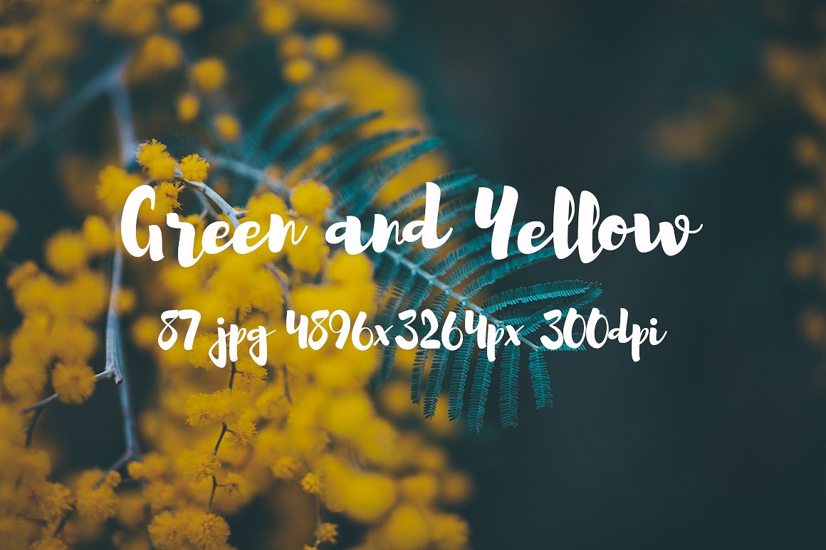 Green and yellow photo pack