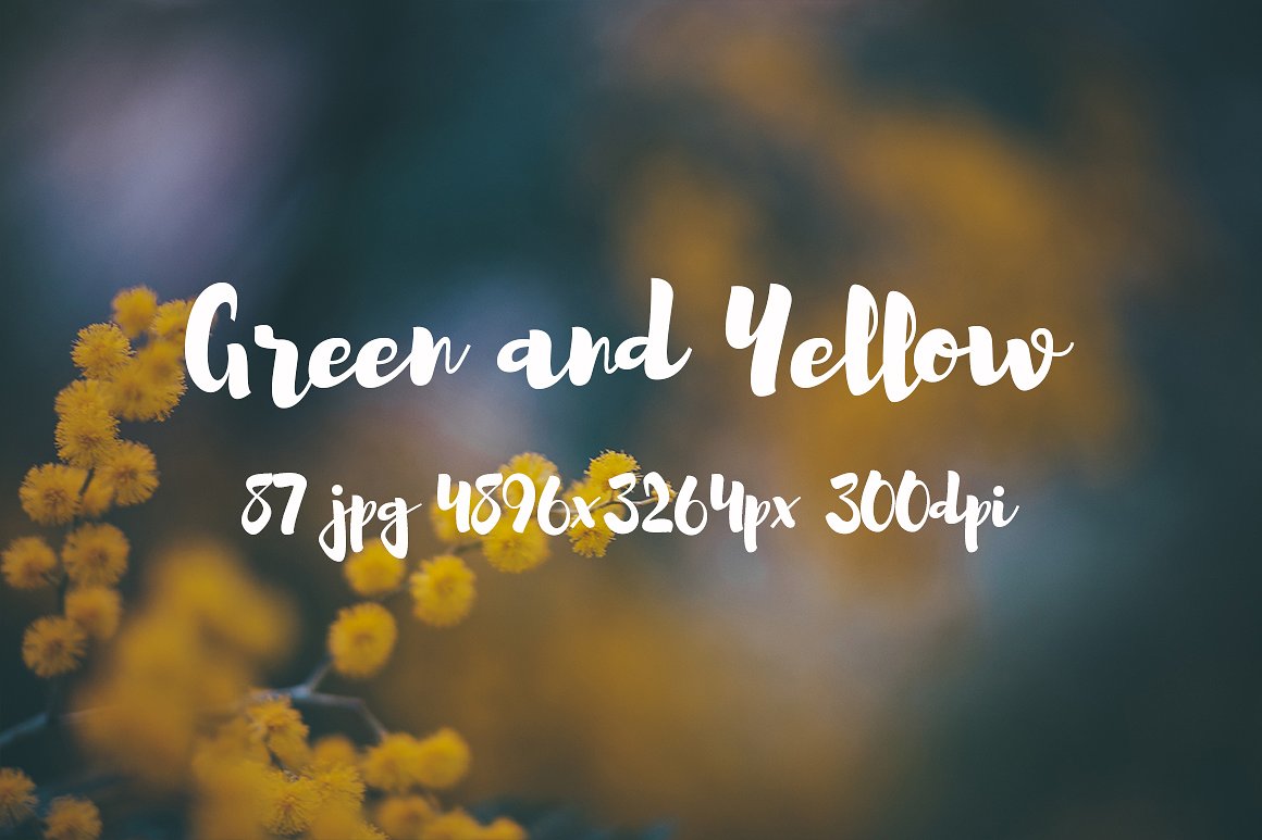 Green and yellow photo pack