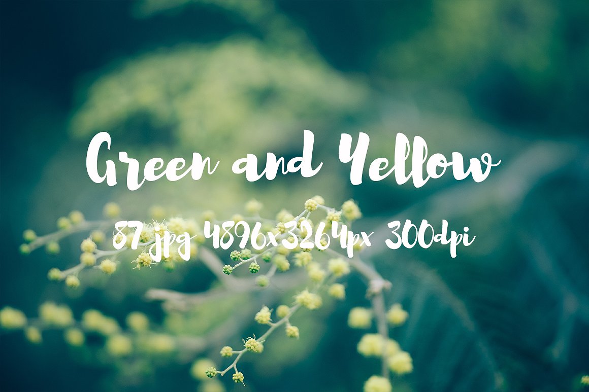 Green and yellow photo pack