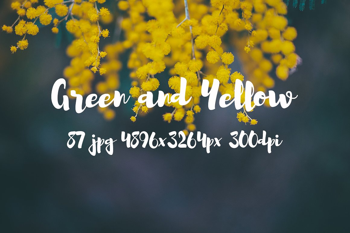 Green and yellow photo pack