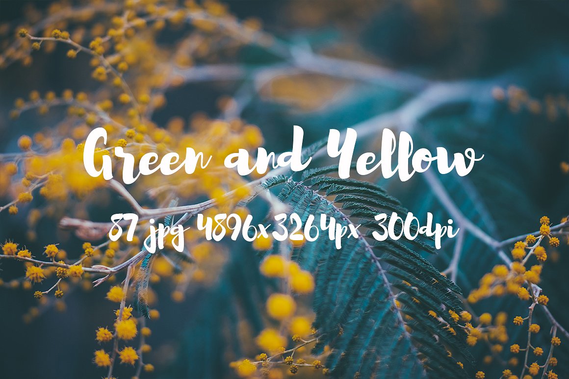 Green and yellow photo pack