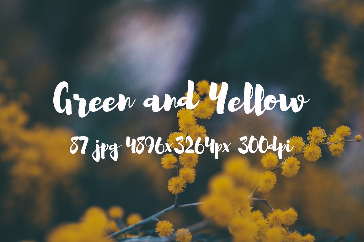 Green and yellow photo pack