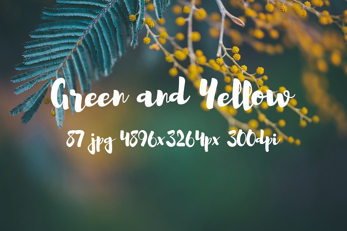 Green and yellow photo pack