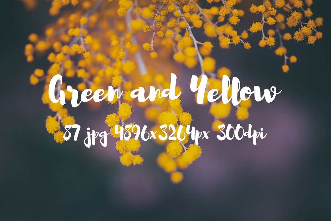 Green and yellow photo pack