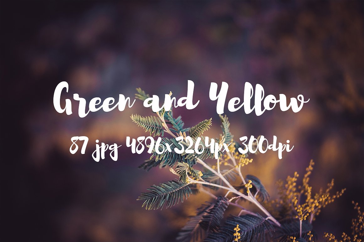 Green and yellow photo pack