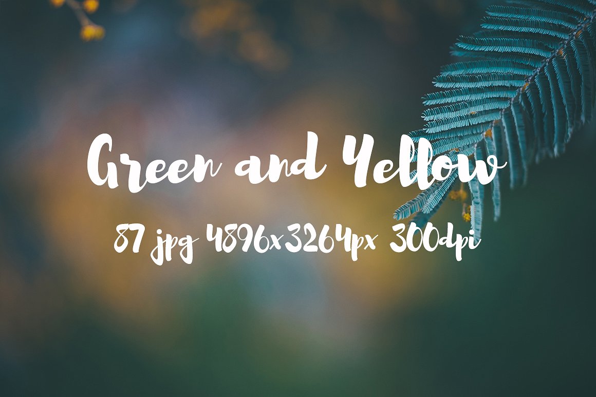 Green and yellow photo pack